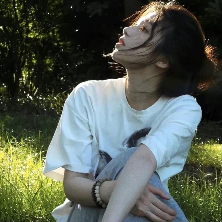 雏鸟的天空
